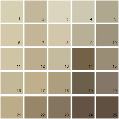 brown paint color palette