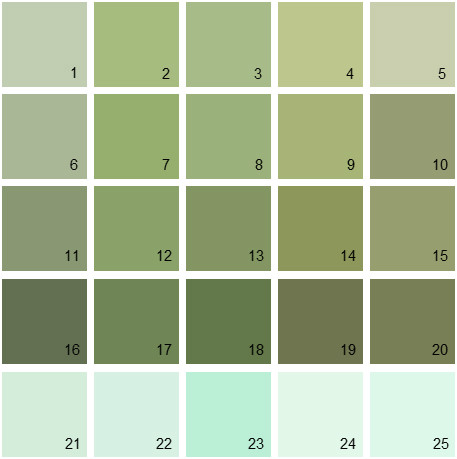 exterior paint color swatches