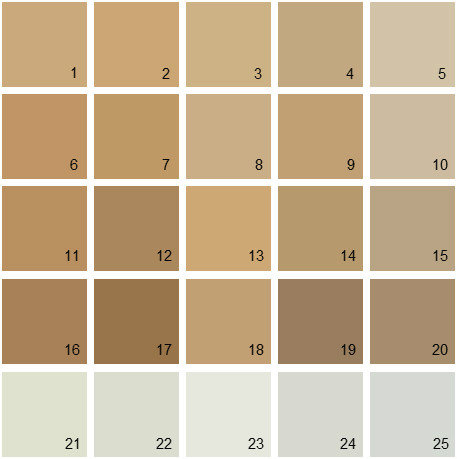 tan paint colors